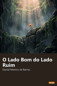 Capa do resumo de O Lado Bom do Lado Ruim